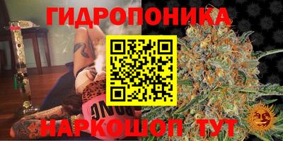 тгк Ачхой-Мартан