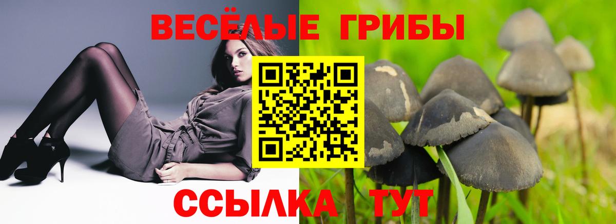 Псилоцибиновые грибы прущие грибы  Галлюциногенные грибы GOLDEN TEACHER  Елец  Вход с VPN 